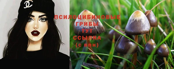 соль ск Нефтекумск