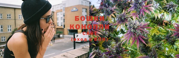 соль ск Нефтекумск