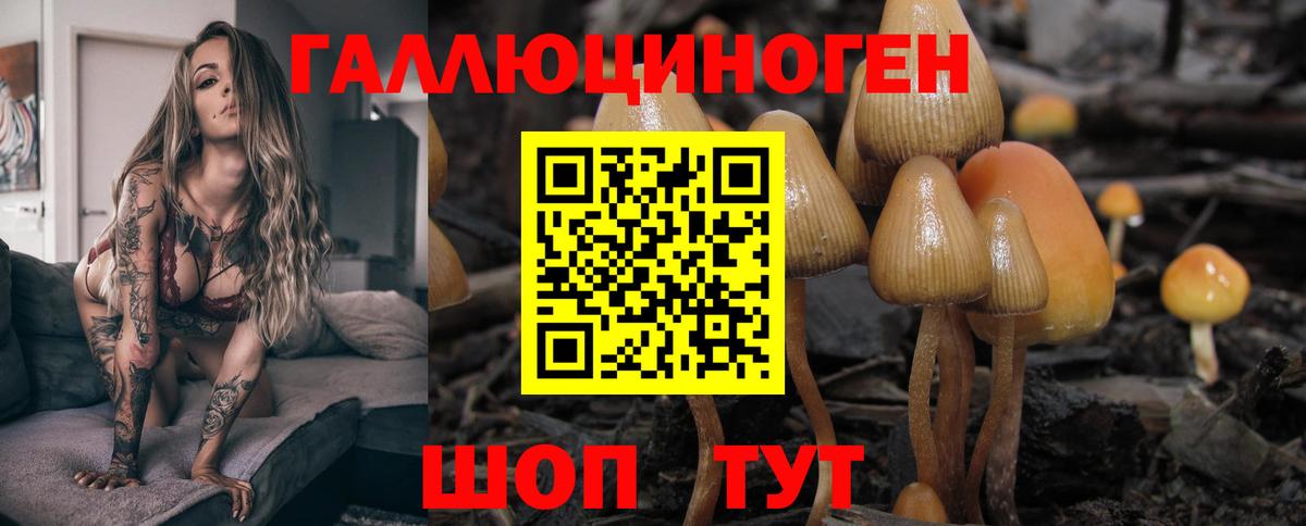 Псилоцибиновые грибы мицелий Саяногорск