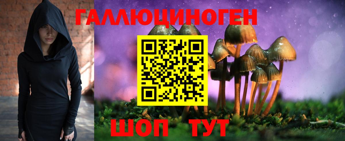 Саяногорск  Псилоцибиновые грибы мухоморы  Вход с VPN 