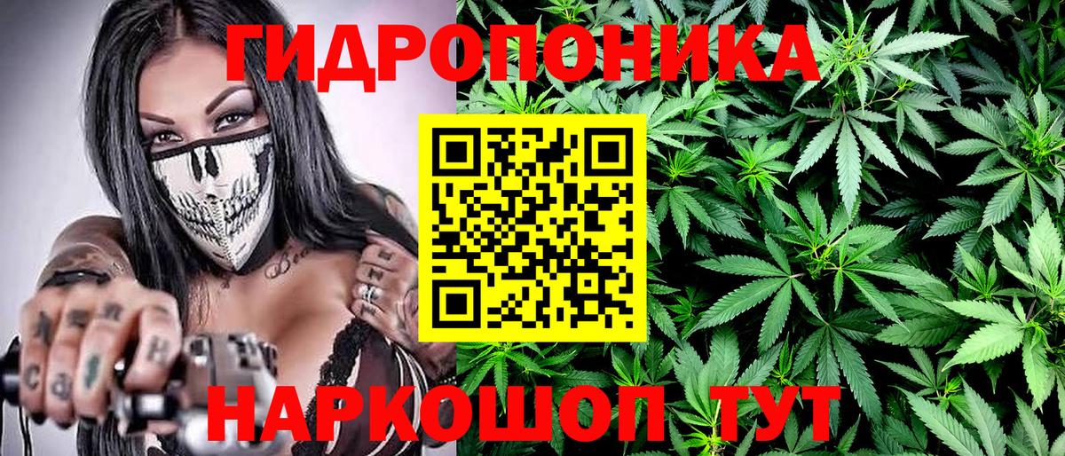 Конопля Bruce Banner  Шишки марихуана Amnesia  Каннабис SATIVA & INDICA  Каннабис VHQ  Вход с VPN  Саяногорск 